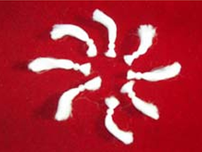 ����ʽ�w�S��